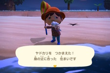 『あつまれ どうぶつの森』ステイホームの達人「ヤドカリ」ってどんな生き物？【平坂寛の『あつ森』博物誌】 画像