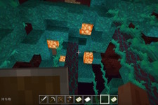 『マインクラフト』復帰勢必見！ネザーアップデートで追加された新たなバイオームの見所を紹介します 画像