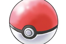 病気の愛犬を救うため「ポケモンカード」を自宅の庭先で売る8歳の少年が話題に―大きな反響で寄付金が殺到、少年には公式からカードがプレゼント 画像