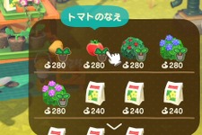 『あつまれ どうぶつの森』料理に使う野菜・材料はどこで手に入る? 「レイジ」を勧誘して畑を作ろう! 画像