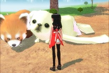 『マビノギ』8月20日より「突発企画！ペット育成大会！」を開催 画像