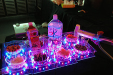【DCEXPO2009】会場で見かけたWiiリモコン～応用法は無限大 画像