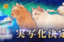 キービジュアルが猫まみれ…『白猫プロジェクト』が10周年を記念して“本物のネコ”で実写化？主演“ネコ”への独占インタビューも【エイプリルフール】 画像