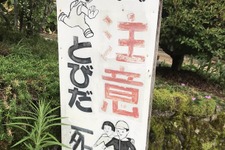 ゲーマーに運動は難し…くない！ずっとゲームで遊んでいる編集者＆ライターがオススメしたい“運動方法”をご紹介 画像