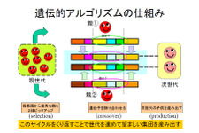 遺伝的アルゴリズムとニューラルネットワーク、ゲームAIによるキャラクタの「進化」を考える 画像