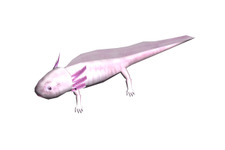『釣りパラダイス！』レアアイテムをゲットしよう！ 幸運の生物「ウーパールーパー」期間限定放流キャンペーン 画像
