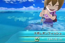 『ファミリーフィッシング』10月に放流される魚は「ナポレオンフィッシュ」 画像