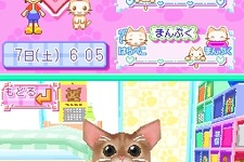 可愛らしい猫と一緒に生活『かわいい子猫DS』 画像