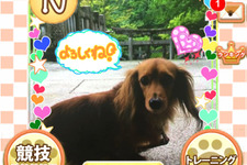 撮影した愛犬をゲーム内で育成し、全国デビューさせるSLG『ワンワンコロネット』サービス開始 画像