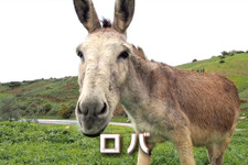 セガが謎の可愛いロバ動画を公開・・・「ロバです」に秘められたものとは? 画像