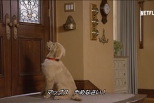 「フルハウス」20年ぶりの新シリーズ「フラーハウス」映像解禁 画像
