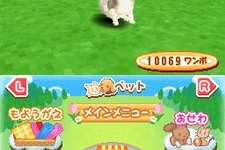 仔犬と仔猫が同時に遊べる『まちのペット屋さんDS2 〜ワンニャン333匹大集合〜』 画像