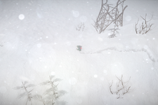 雪山サバイバル『インパクト・ウインター』国内PS4で配信開始！PS4スペシャルテーマが付属 画像