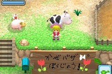 DS『牧場物語 ようこそ!風のバザールへ』キャラ人気投票結果発表！ 画像