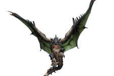 Wii『モンスターハンターG』リオレウス亜種＆リオレイア亜種を紹介 画像
