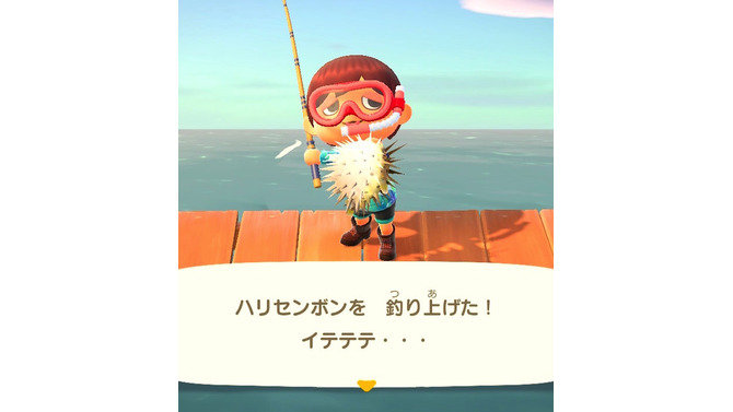 実は“針三百本”！？『あつまれ どうぶつの森』で釣れるハリセンボンってどんな魚？【平坂寛の『あつ森』博物誌】