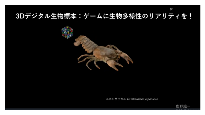 ビデオゲームの世界でも生物多様性の実現を！オンライン公開中の「3Dデジタル生物標本」の多様な展開について紹介【CEDEC 2023】