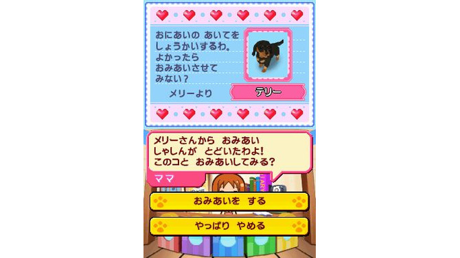 ペットショップ物語 DS 2