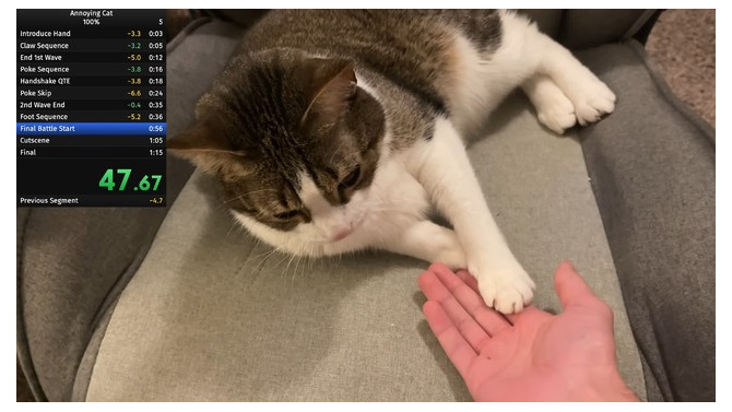 飼い猫でのRTA挑戦で数々の世界記録達成―数カ月に渡り謎カテゴリーを生み出しつづけるスピードランナー
