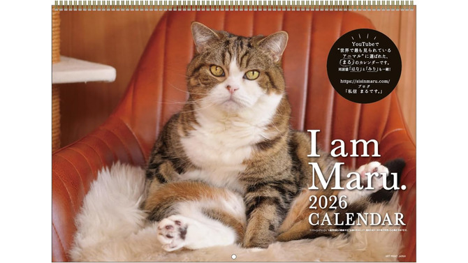 世界を魅了した「すべりこむ猫」まるちゃん　癒やし満載の2026年版カレンダーが登場！