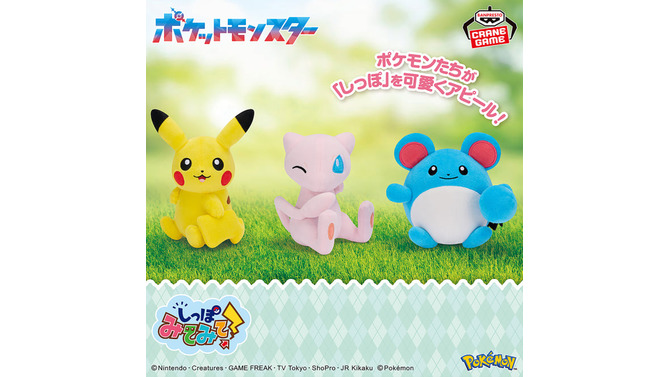 11月登場予定『ポケモン』クレーンゲーム景品をチェック！大きなヒメグマやポリゴン、モンスターボールコレクションなどぬいぐるみ多数