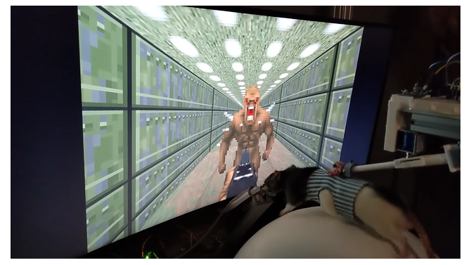 ネズミ用『DOOM』VR装置“バージョン2”が公開！大幅進化を遂げ、設計図は全てオープンソースに