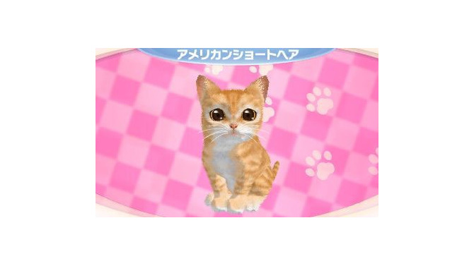 かわいい子猫３Ｄ