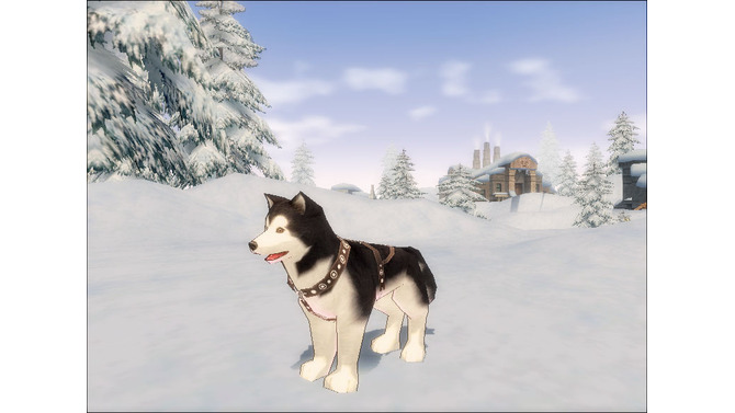 Developed by devCat Copyright (c) Nexon Corporation and Nexon Japan Co.,Ltd. All rights reserved.