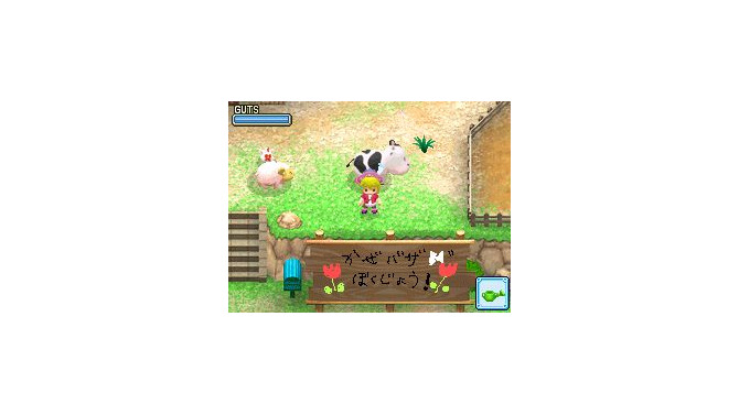 牧場物語 ようこそ!風のバザールへ