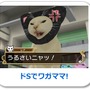 女番社長レナWii