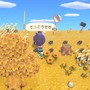 『あつまれ どうぶつの森』公式の「Ninten島」は“あえて地味に見せかける技術”がすごい！ 夢を使って訪問してみよう