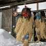 『モンハンライズ』雪鬼獣・ゴシャハギの