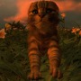 2022年2月22日は「スーパー猫の日」！ツシマの野生ネコから猫耳メイドまで、“猫”関連記事をピックアップ