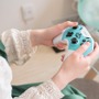 「Brook Vivid Switch用 ワイヤレス コントローラー」でオシャレに遊ぼう！背面ボタン、マクロ機能などゲーマーの欲しい機能も完備