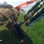 “からくり”が作り出す自由な、新次元の狩りを堪能！EA×コエテク新作狩りACT『WILD HEARTS』プレイレポ【特集】