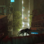 【猫の日特集】現実に疲れたらすべてを投げ出して猫になればいいじゃない！猫になれるゲーム6選