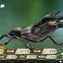 『ムシキング』ブームタッグの新作はSNSでも大注目！？甲虫バトルRPG『カブトクワガタ』発売