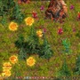 フラゴリア(FRAGORIA)