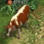 フラゴリア(FRAGORIA)