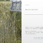 “あー、楽しかった”だけで終わらない作品を作りたい―『ナツノカナタ』『午前五時にピアノを弾く』開発者・Kazuhide Oka氏インタビュー