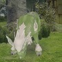 モンスターファーム ラグーン