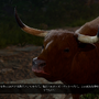 海外の大作RPG『バルダーズ・ゲート3』の“ヤバさ”を伝授。強烈な自由度とボリュームをマルチプレイでも体感できる注目作の魅力とは
