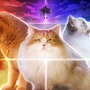 キービジュアルが猫まみれ…『白猫プロジェクト』が10周年を記念して“本物のネコ”で実写化？主演“ネコ”への独占インタビューも【エイプリルフール】