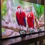 「Xperia」シリーズ最新モデル「Xperia 1 VI」発表！2日間分のバッテリーや“ソニーだからできた”ディスプレイ技術に注目【イベントレポート】