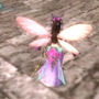 真・三國無双 MULTI RAID 2