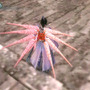 真・三國無双 MULTI RAID 2