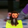 EyePet