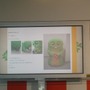 今日からピンでやっていきますぞぉ！『ModNation 無限のカート王国』記者会見でムックが宣言