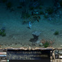 Lineage (R) and Lineage (R) the Cross Rancor are registered trademarks of NCsoft Corporation. 1998-2007 (C) Copyright NCsoft Corporation. NC Japan K.K. was granted by NCsoft Corporation the right to publish, distribute, and transmit Lineage the Cross Rancor in Japan. All Rights Reserved.