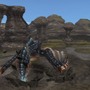 モンスターハンター フロンティア オンライン